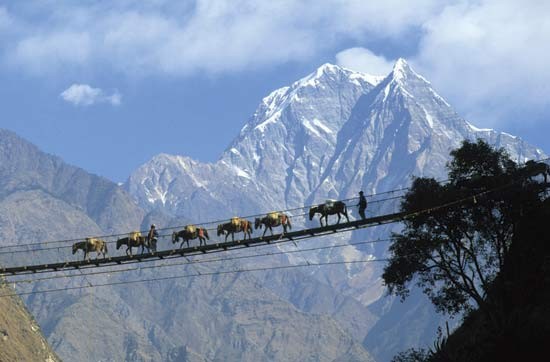The swing bridge nepal